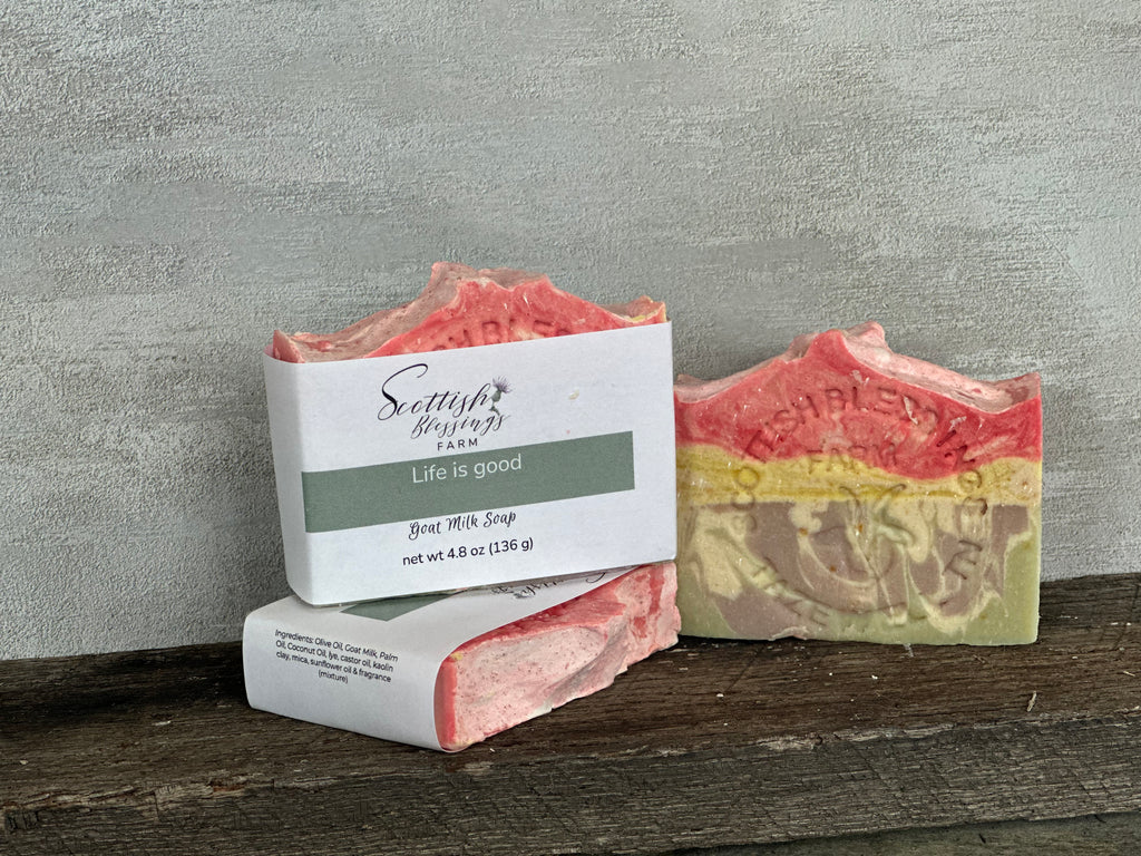 Life is Good Soap