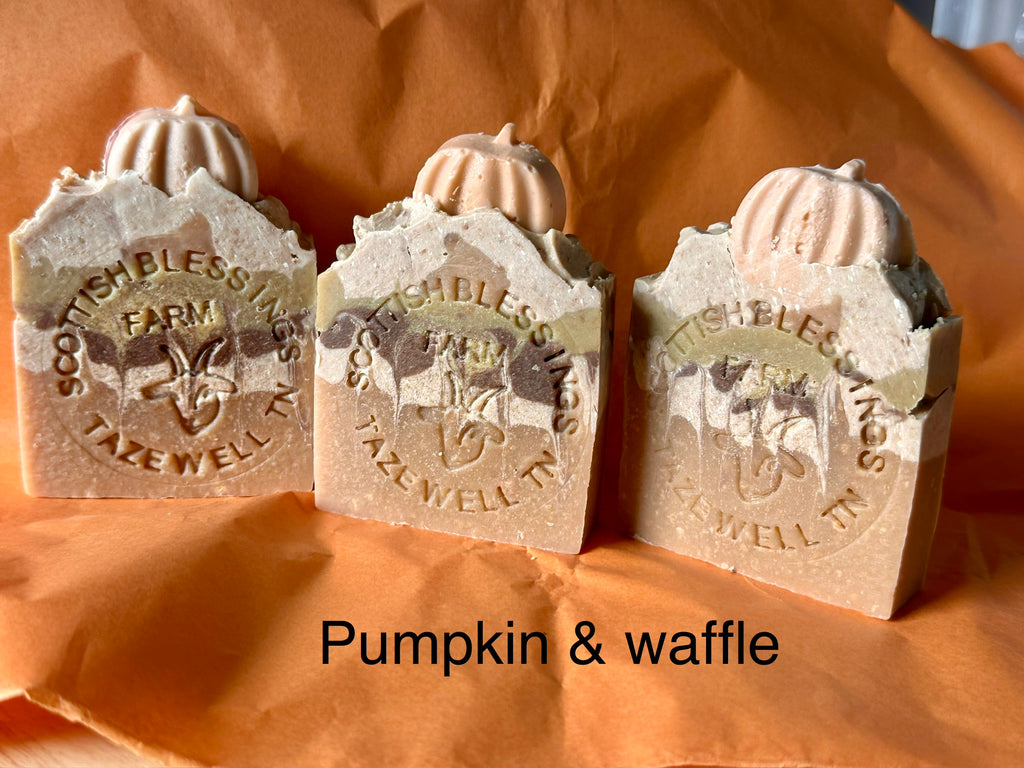 Pumpkin Waffles & Muffins