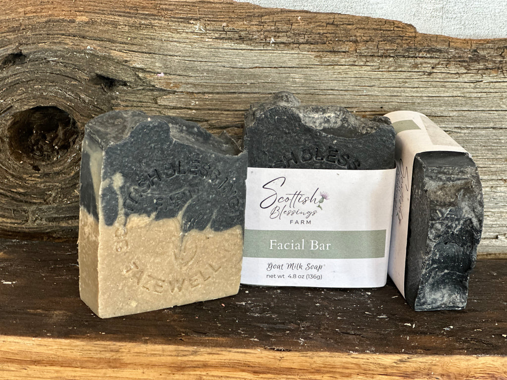 Charcoal Mud Facial Bar