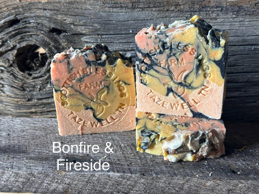 Bonfire & Fireside