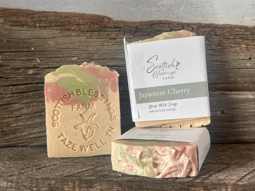 Japanese Cherry