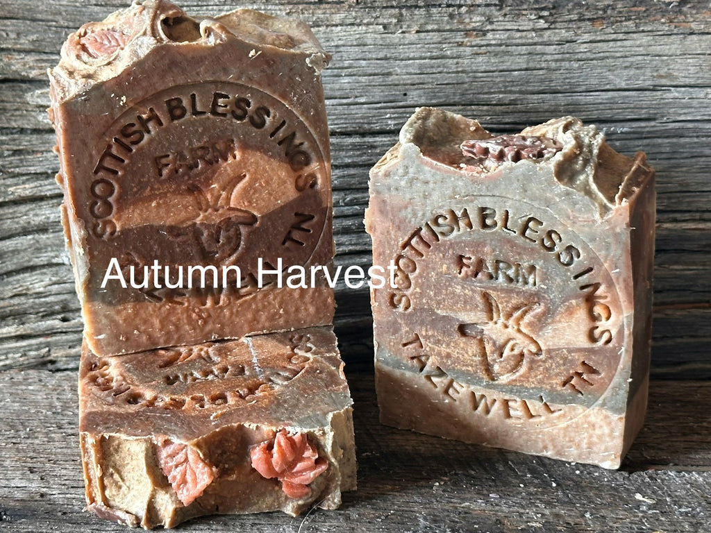 Autumn Harvest