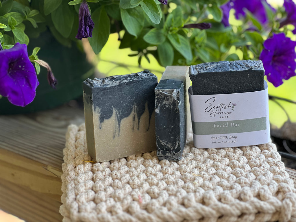 Charcoal Mud Facial Bar