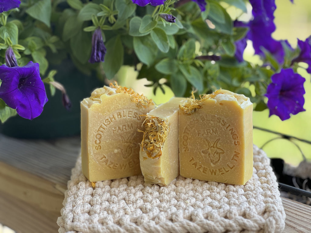 Goat Milk Soap