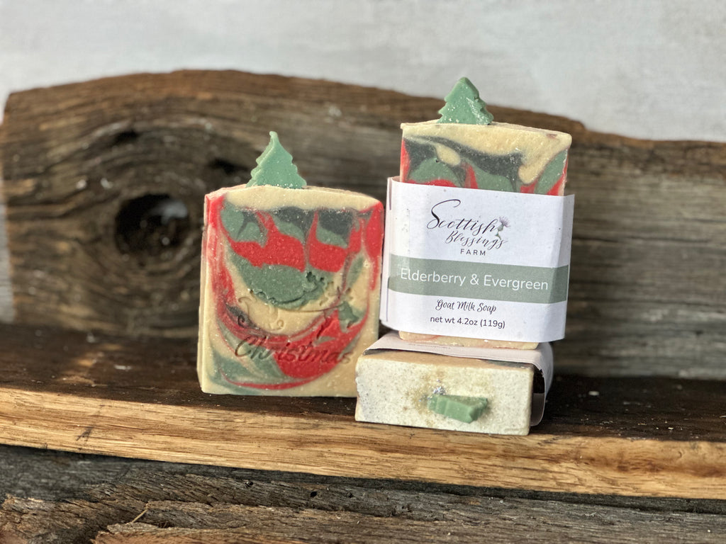 Elderberry & Evergreen